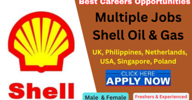 Shell Careers: