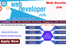 Web Developer Job Opportunities: