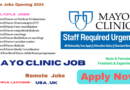 Mayo Clinic Careers: