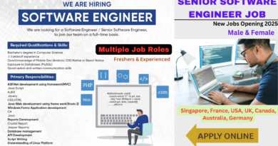 Senior software engineer