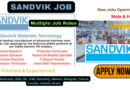 Sandvik Careers: