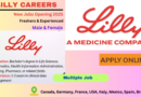 Lilly Career