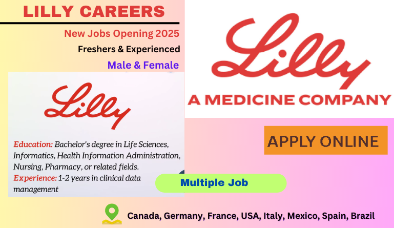 Lilly Career